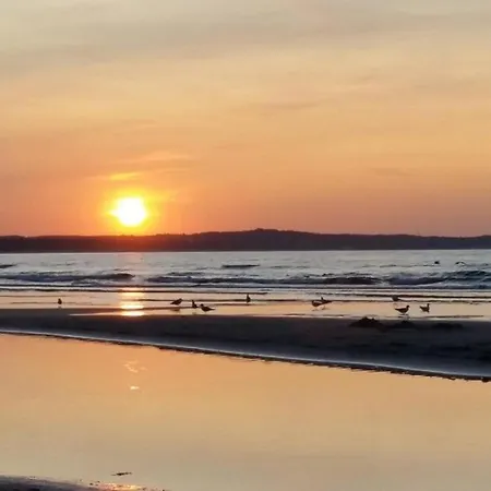 Julia * Свиноуйсьце